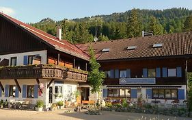 Nagelfluhhaus Hirsch